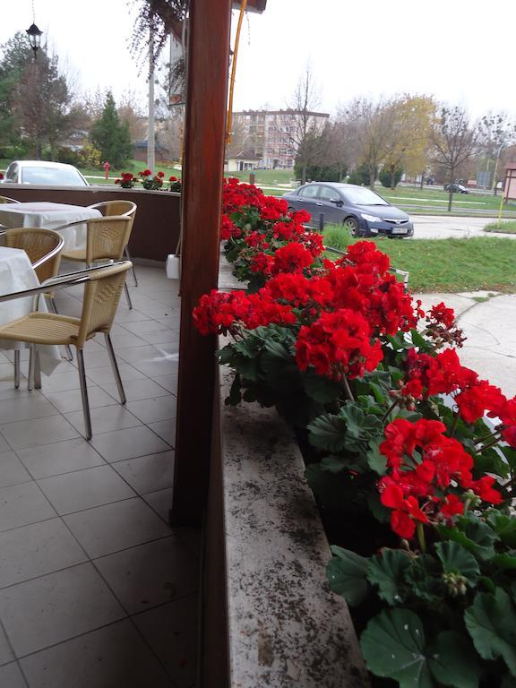Czermann Panzio Es Etterem Hotel Oroszlany Luaran gambar